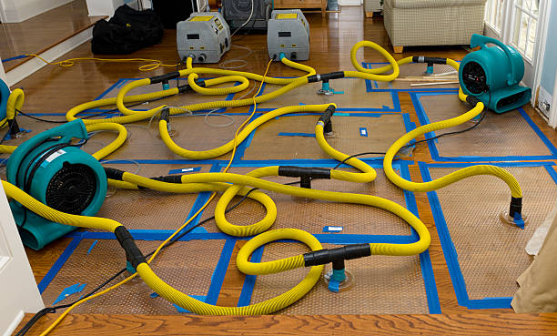 Professional Burst Pipe Water Damage technician working in Utica, SC